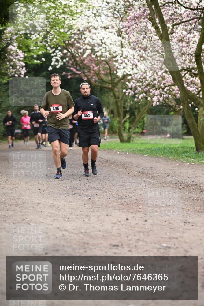 13.04.2025 - Hammer Lauf Dr. Thomas Lammeyer http://msf.ph/oto/7646365 13.04.2025 10:16:16 Laufen 446, 455 meine-sportfotos.de