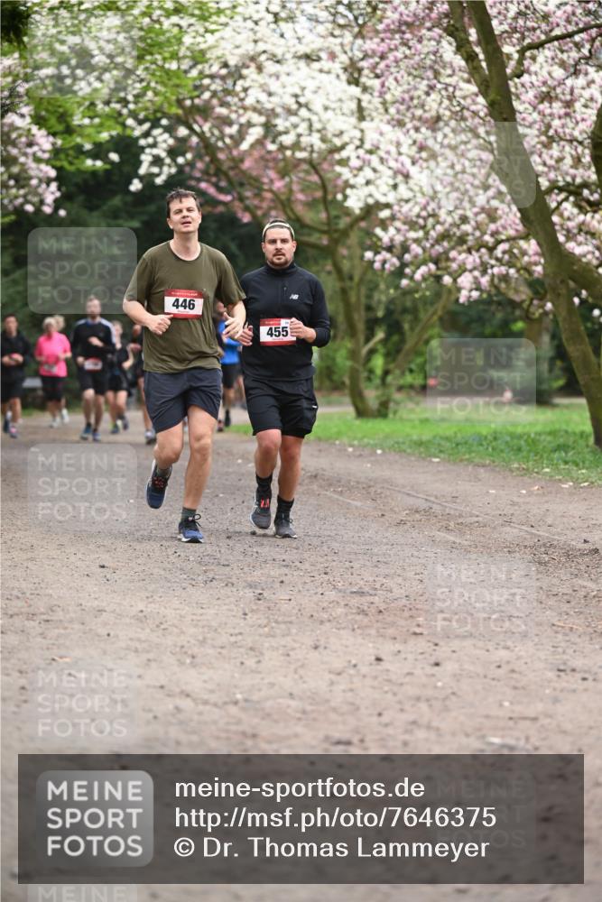 13.04.2025 - Hammer Lauf Dr. Thomas Lammeyer http://msf.ph/oto/7646375 13.04.2025 10:16:16 Laufen 446, 455 meine-sportfotos.de