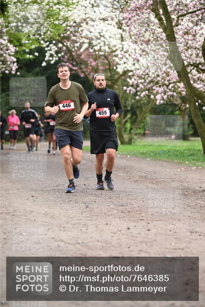 13.04.2025 - Hammer Lauf Dr. Thomas Lammeyer http://msf.ph/oto/7646385 13.04.2025 10:16:17 Laufen 446, 455 meine-sportfotos.de