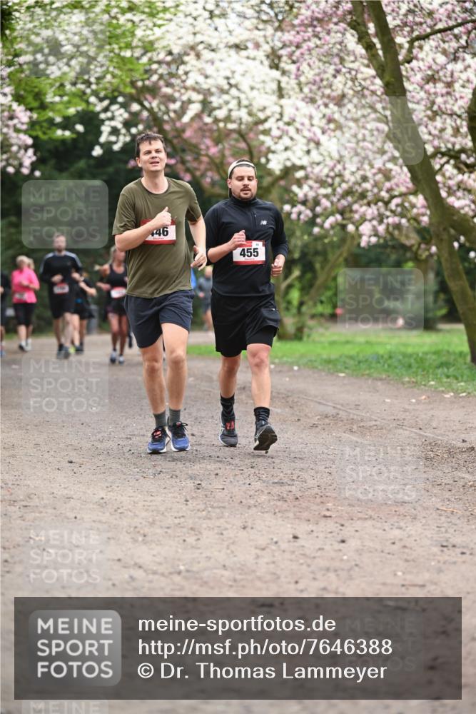 13.04.2025 - Hammer Lauf Dr. Thomas Lammeyer http://msf.ph/oto/7646388 13.04.2025 10:16:17 Laufen 46, 455 meine-sportfotos.de