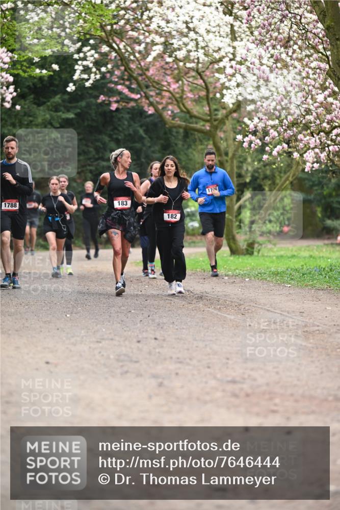 13.04.2025 - Hammer Lauf Dr. Thomas Lammeyer http://msf.ph/oto/7646444 13.04.2025 10:16:21 Laufen 1788, 183, 182, 1736 meine-sportfotos.de