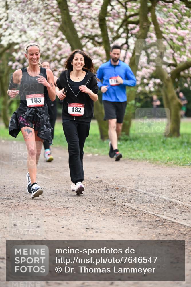13.04.2025 - Hammer Lauf Dr. Thomas Lammeyer http://msf.ph/oto/7646547 13.04.2025 10:16:25 Laufen 183, 15, 182, 176 meine-sportfotos.de