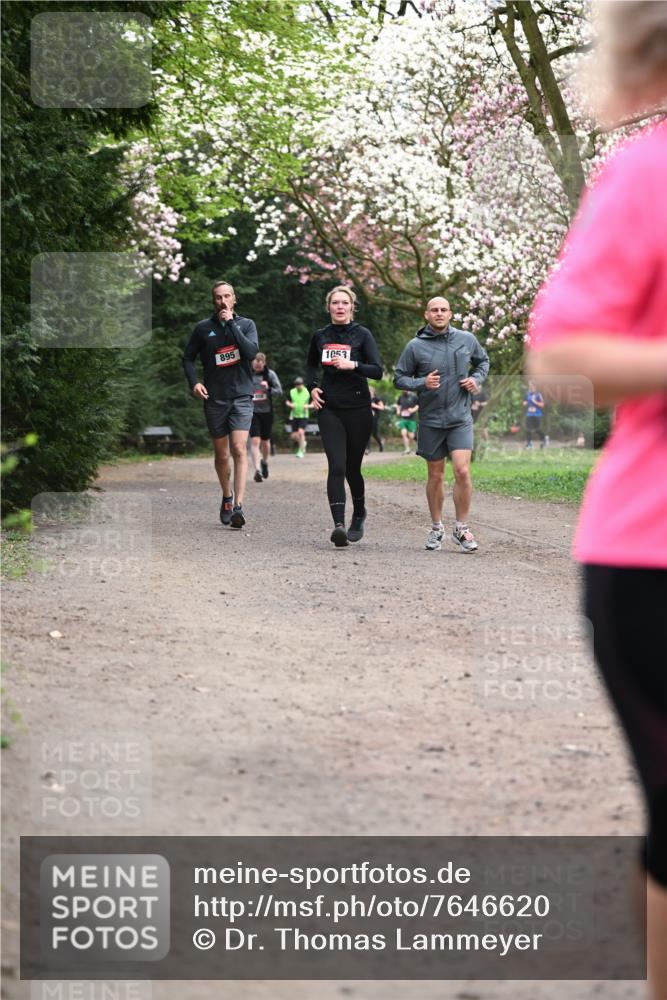 13.04.2025 - Hammer Lauf Dr. Thomas Lammeyer http://msf.ph/oto/7646620 13.04.2025 10:16:33 Laufen 895, 1053 meine-sportfotos.de
