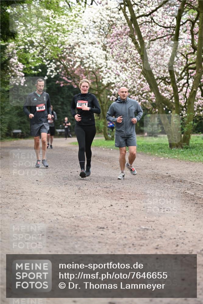13.04.2025 - Hammer Lauf Dr. Thomas Lammeyer http://msf.ph/oto/7646655 13.04.2025 10:16:35 Laufen 895, 1053 meine-sportfotos.de