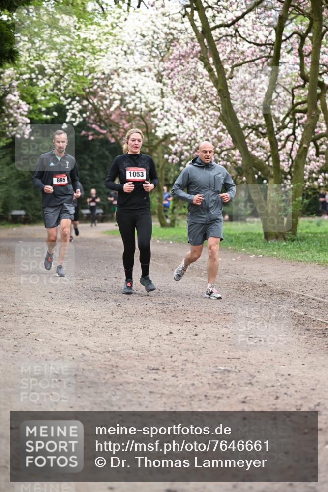 13.04.2025 - Hammer Lauf Dr. Thomas Lammeyer http://msf.ph/oto/7646661 13.04.2025 10:16:35 Laufen 1053, 895 meine-sportfotos.de
