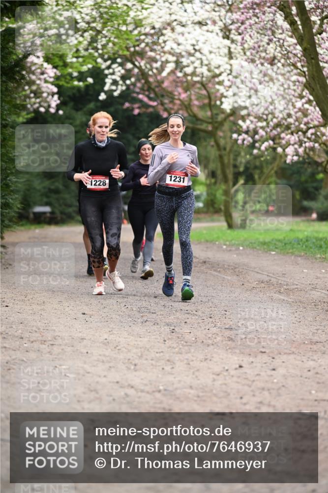 13.04.2025 - Hammer Lauf Dr. Thomas Lammeyer http://msf.ph/oto/7646937 13.04.2025 10:17:01 Laufen 1231, 1228 meine-sportfotos.de