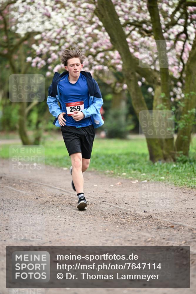 13.04.2025 - Hammer Lauf Dr. Thomas Lammeyer http://msf.ph/oto/7647114 13.04.2025 10:17:29 Laufen 15, 259 meine-sportfotos.de