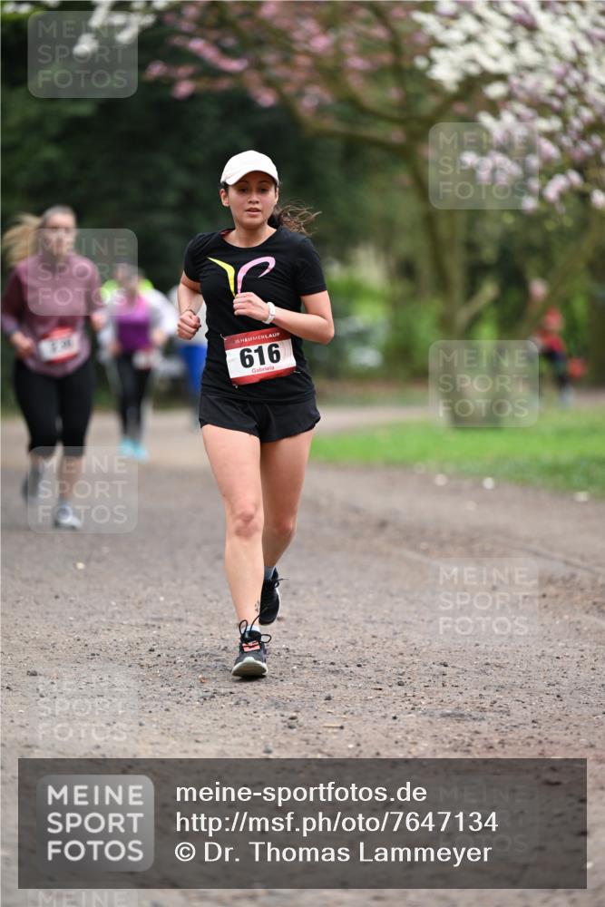 13.04.2025 - Hammer Lauf Dr. Thomas Lammeyer http://msf.ph/oto/7647134 13.04.2025 10:17:30 Laufen 15, 616 meine-sportfotos.de