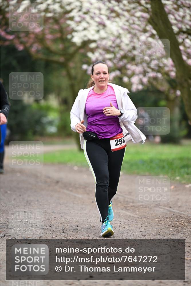 13.04.2025 - Hammer Lauf Dr. Thomas Lammeyer http://msf.ph/oto/7647272 13.04.2025 10:17:41 Laufen 15, 258 meine-sportfotos.de