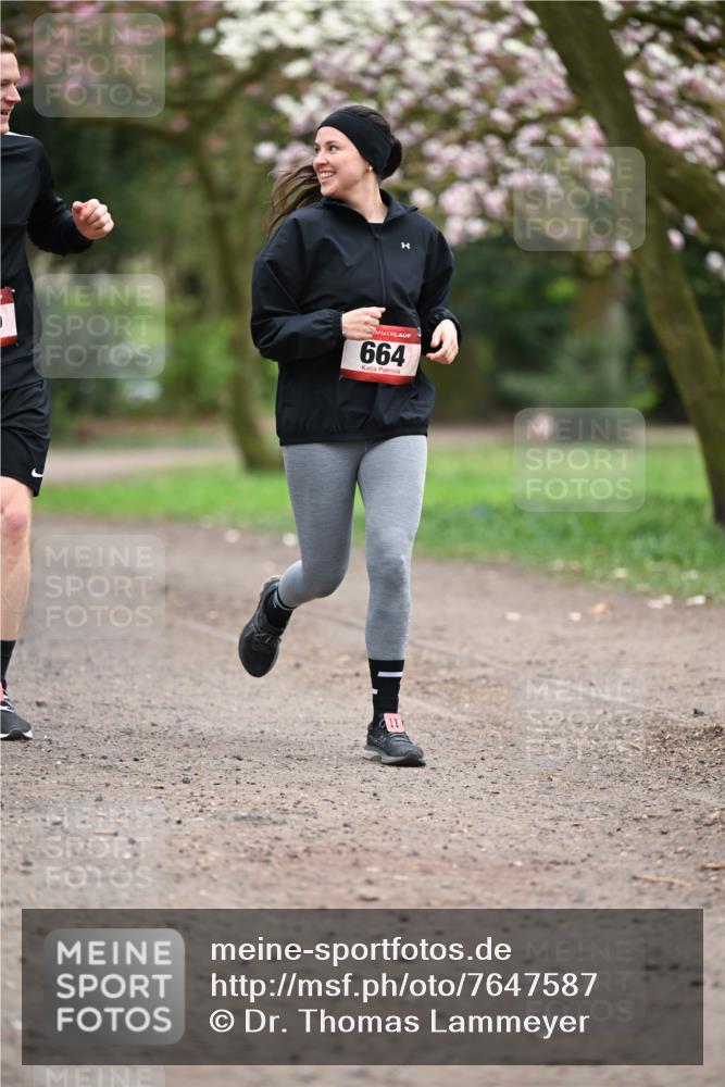 13.04.2025 - Hammer Lauf Dr. Thomas Lammeyer http://msf.ph/oto/7647587 13.04.2025 10:18:12 Laufen 664, 11 meine-sportfotos.de