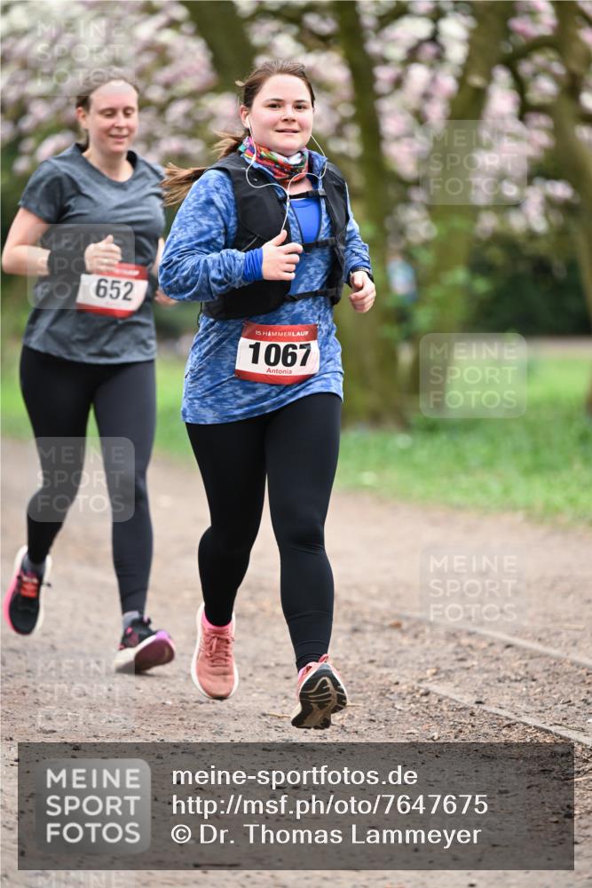 13.04.2025 - Hammer Lauf Dr. Thomas Lammeyer http://msf.ph/oto/7647675 13.04.2025 10:18:22 Laufen 652, 15, 1067 meine-sportfotos.de