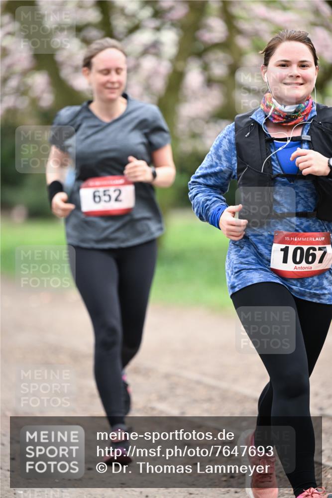 13.04.2025 - Hammer Lauf Dr. Thomas Lammeyer http://msf.ph/oto/7647693 13.04.2025 10:18:23 Laufen 652, 15, 1067 meine-sportfotos.de