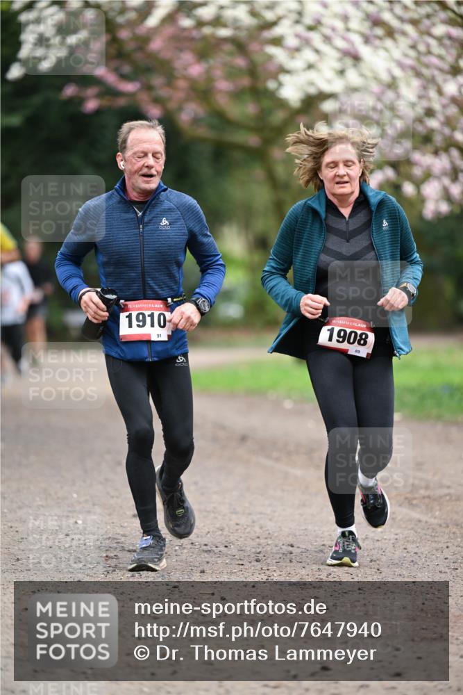 13.04.2025 - Hammer Lauf Dr. Thomas Lammeyer http://msf.ph/oto/7647940 13.04.2025 10:18:45 Laufen 15, 1910, 91, 9, 1908 meine-sportfotos.de