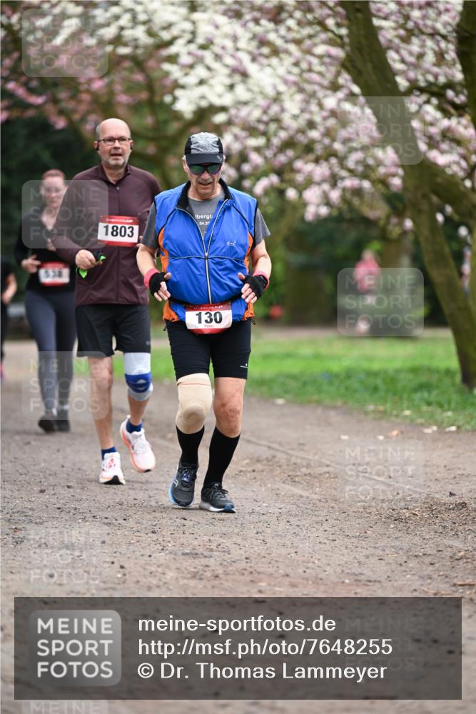 13.04.2025 - Hammer Lauf Dr. Thomas Lammeyer http://msf.ph/oto/7648255 13.04.2025 10:19:12 Laufen 538, 1803, 04, 20, 130 meine-sportfotos.de