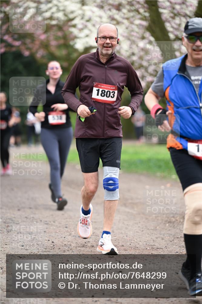 13.04.2025 - Hammer Lauf Dr. Thomas Lammeyer http://msf.ph/oto/7648299 13.04.2025 10:19:14 Laufen 538, 15, 1803, 3, 1 meine-sportfotos.de