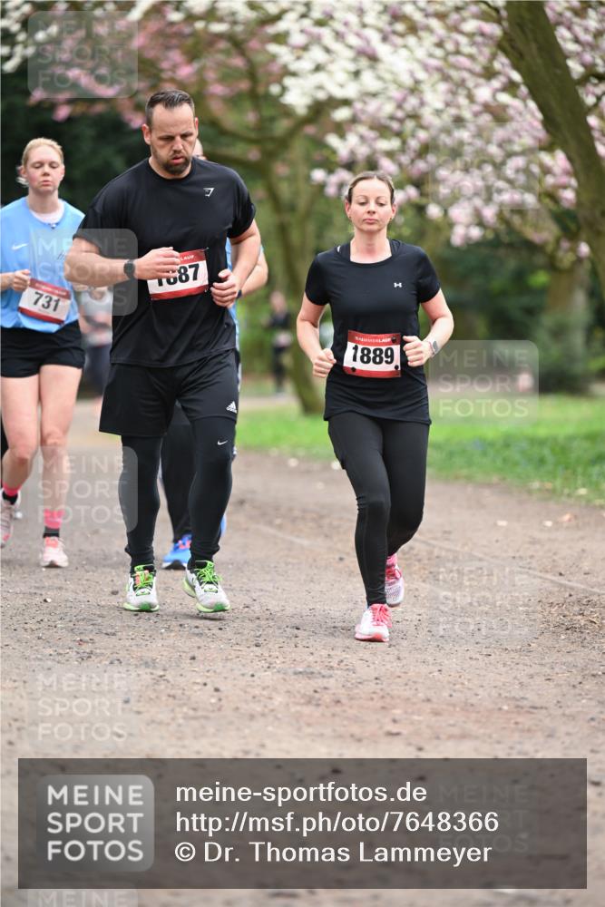13.04.2025 - Hammer Lauf Dr. Thomas Lammeyer http://msf.ph/oto/7648366 13.04.2025 10:19:20 Laufen 731, 7, 887, 1889 meine-sportfotos.de