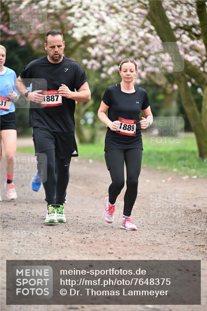 13.04.2025 - Hammer Lauf Dr. Thomas Lammeyer http://msf.ph/oto/7648375 13.04.2025 10:19:20 Laufen 31, 15, 1887, 15, 1889 meine-sportfotos.de