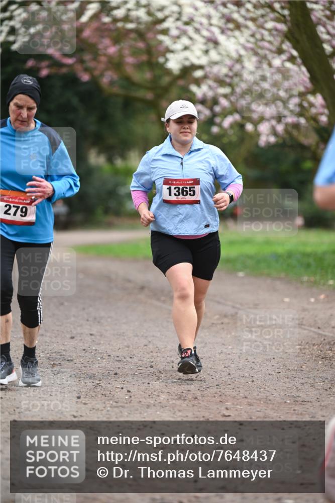 13.04.2025 - Hammer Lauf Dr. Thomas Lammeyer http://msf.ph/oto/7648437 13.04.2025 10:19:24 Laufen 15, 279, 15, 1365 meine-sportfotos.de