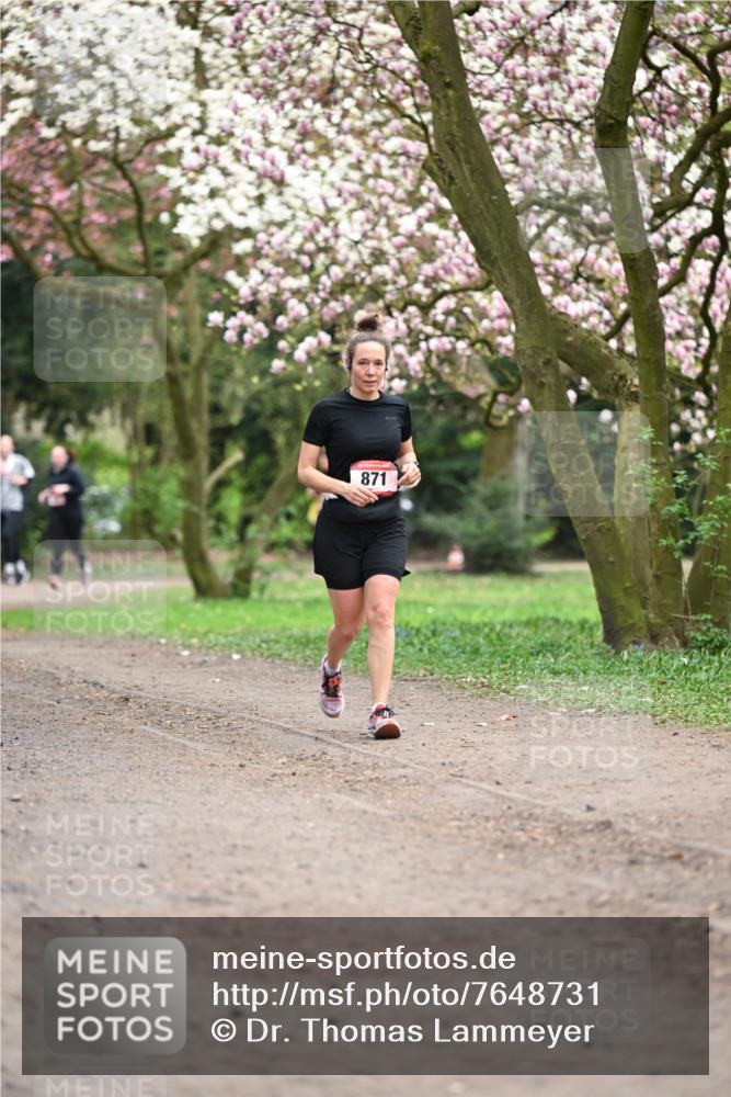 13.04.2025 - Hammer Lauf Dr. Thomas Lammeyer http://msf.ph/oto/7648731 13.04.2025 10:20:00 Laufen 871 meine-sportfotos.de