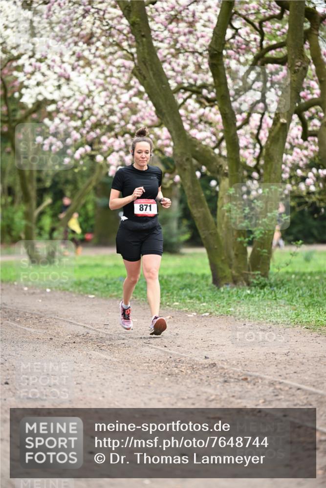 13.04.2025 - Hammer Lauf Dr. Thomas Lammeyer http://msf.ph/oto/7648744 13.04.2025 10:20:00 Laufen 871 meine-sportfotos.de