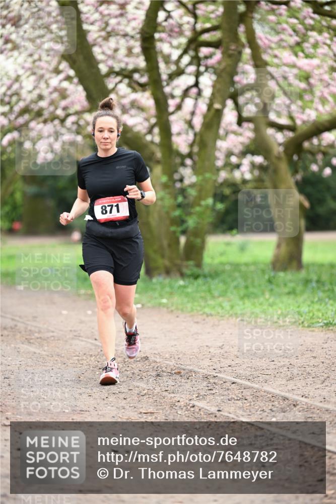 13.04.2025 - Hammer Lauf Dr. Thomas Lammeyer http://msf.ph/oto/7648782 13.04.2025 10:20:02 Laufen 15, 871 meine-sportfotos.de