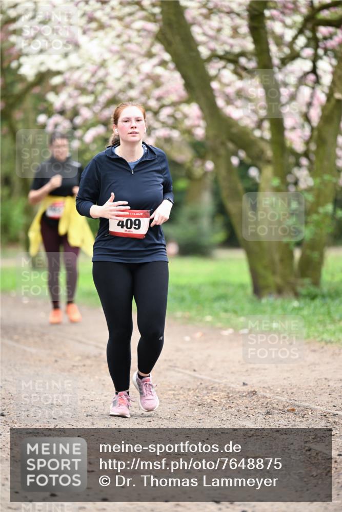 13.04.2025 - Hammer Lauf Dr. Thomas Lammeyer http://msf.ph/oto/7648875 13.04.2025 10:20:18 Laufen 409 meine-sportfotos.de