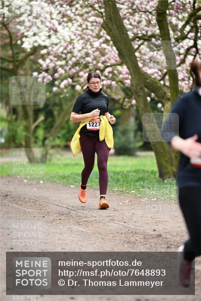 13.04.2025 - Hammer Lauf Dr. Thomas Lammeyer http://msf.ph/oto/7648893 13.04.2025 10:20:20 Laufen 1227 meine-sportfotos.de
