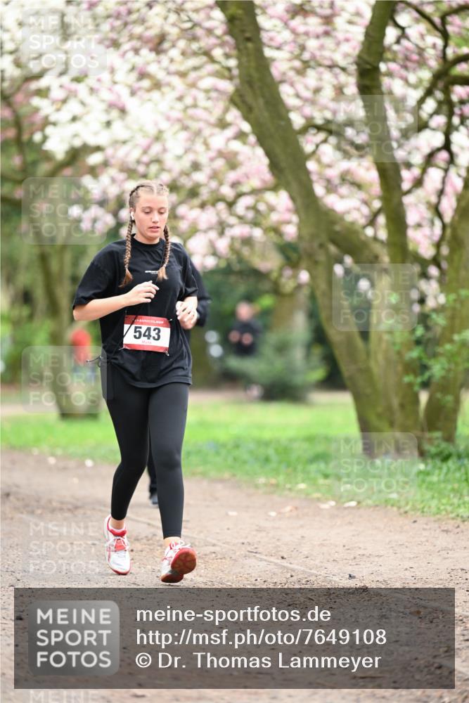 13.04.2025 - Hammer Lauf Dr. Thomas Lammeyer http://msf.ph/oto/7649108 13.04.2025 10:21:37 Laufen 543 meine-sportfotos.de