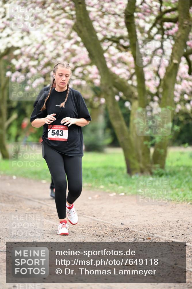 13.04.2025 - Hammer Lauf Dr. Thomas Lammeyer http://msf.ph/oto/7649118 13.04.2025 10:21:37 Laufen 543 meine-sportfotos.de