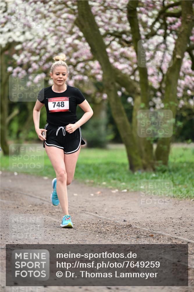 13.04.2025 - Hammer Lauf Dr. Thomas Lammeyer http://msf.ph/oto/7649259 13.04.2025 10:22:10 Laufen 15, 748 meine-sportfotos.de