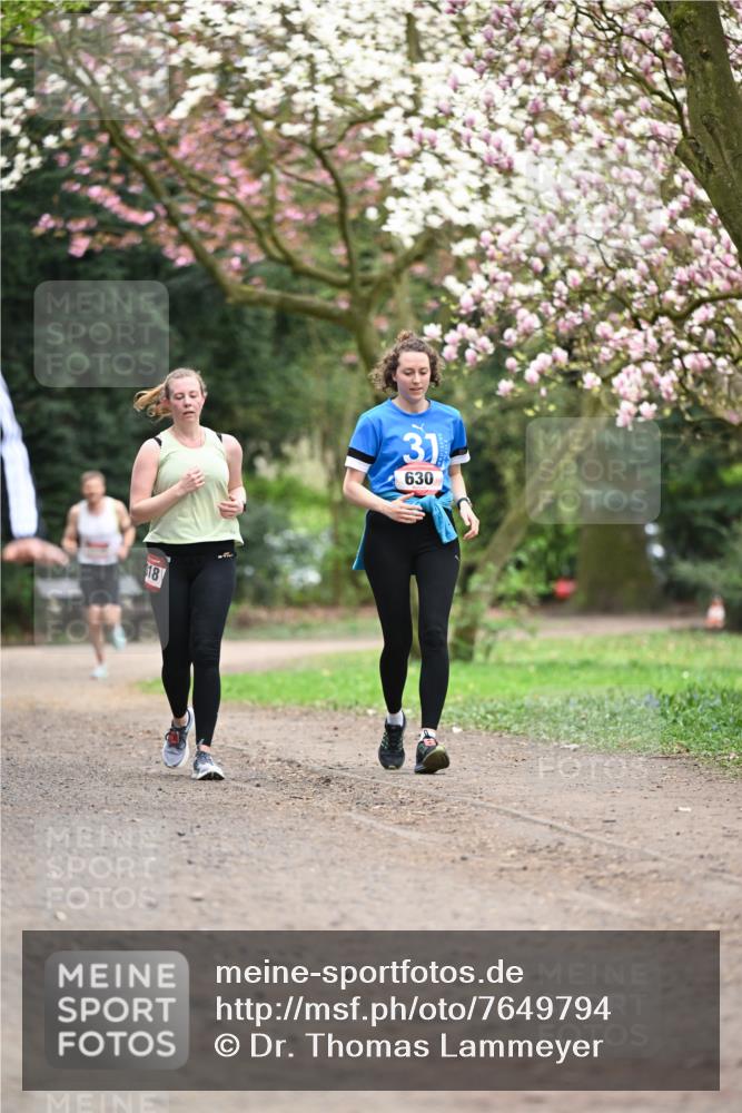 13.04.2025 - Hammer Lauf Dr. Thomas Lammeyer http://msf.ph/oto/7649794 13.04.2025 10:23:30 Laufen 18, 31, 630 meine-sportfotos.de