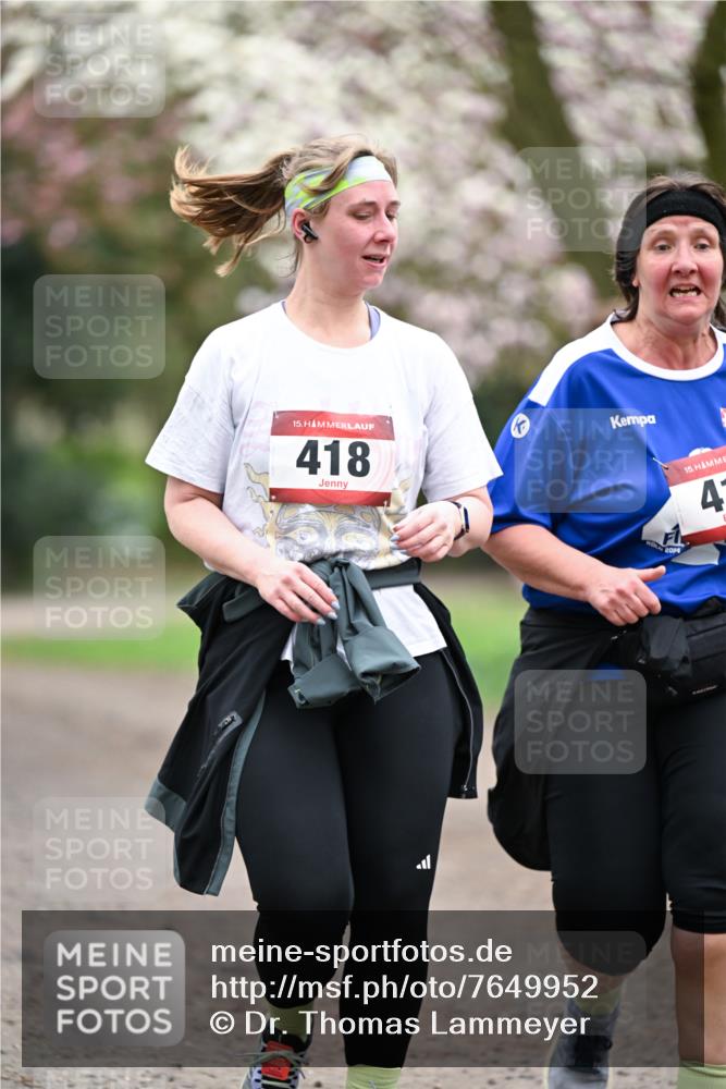 13.04.2025 - Hammer Lauf Dr. Thomas Lammeyer http://msf.ph/oto/7649952 13.04.2025 10:24:04 Laufen 15, 418, 20, 15 meine-sportfotos.de