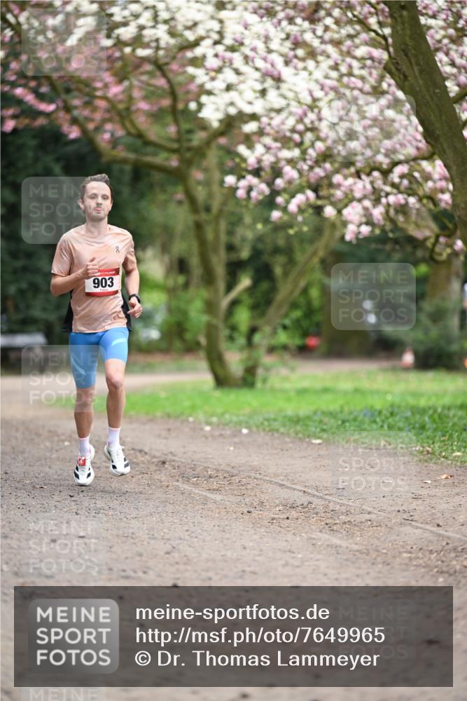 13.04.2025 - Hammer Lauf Dr. Thomas Lammeyer http://msf.ph/oto/7649965 13.04.2025 10:24:16 Laufen 903 meine-sportfotos.de
