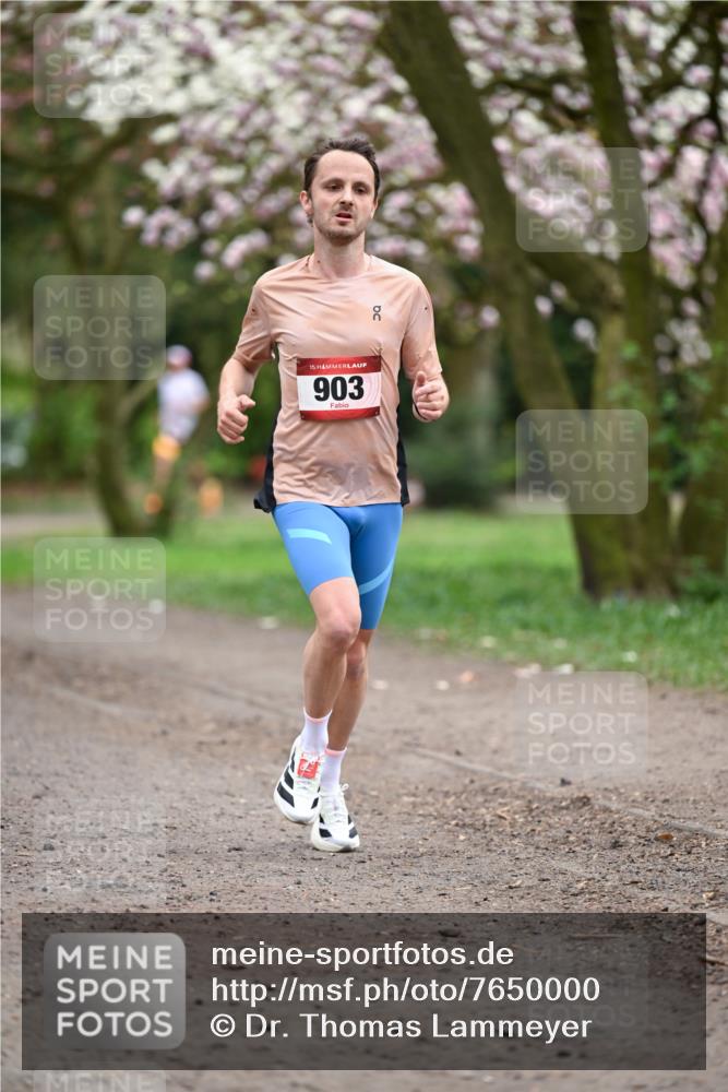 13.04.2025 - Hammer Lauf Dr. Thomas Lammeyer http://msf.ph/oto/7650000 13.04.2025 10:24:18 Laufen 15, 903 meine-sportfotos.de