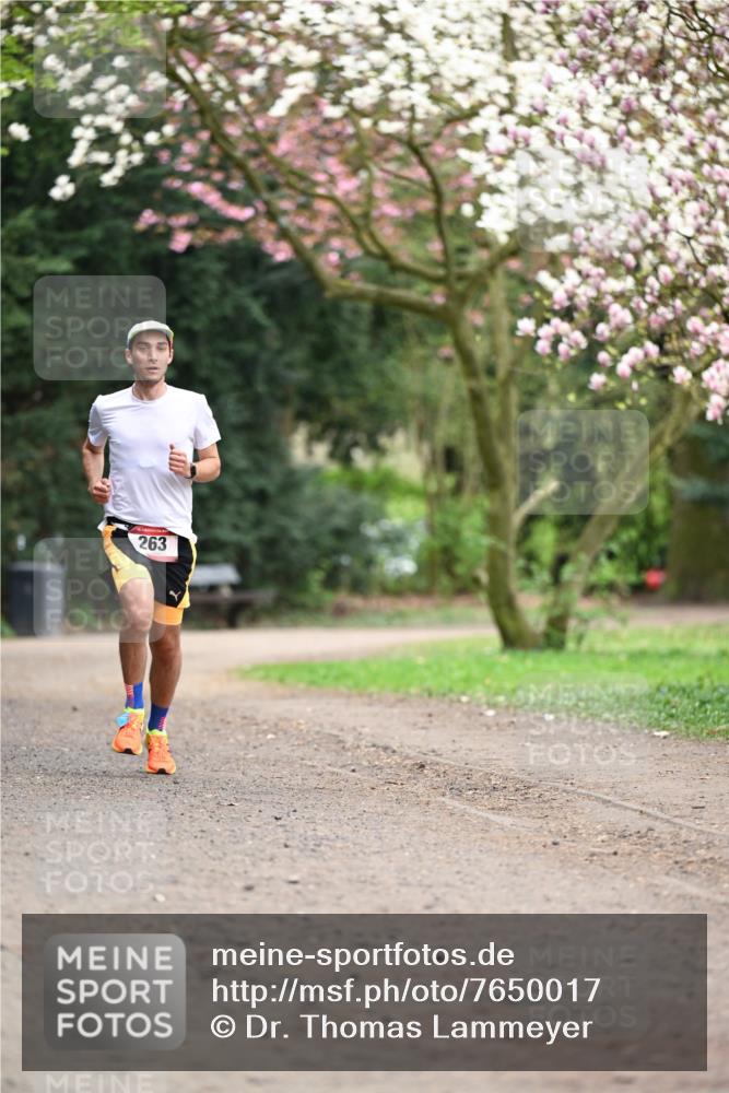 13.04.2025 - Hammer Lauf Dr. Thomas Lammeyer http://msf.ph/oto/7650017 13.04.2025 10:24:27 Laufen 263 meine-sportfotos.de