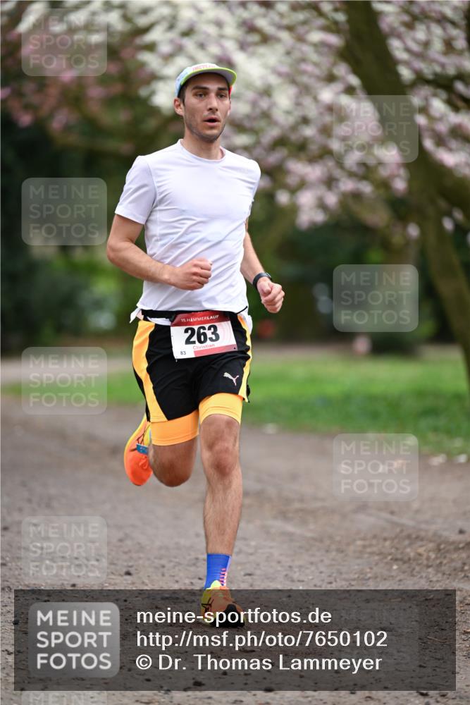 13.04.2025 - Hammer Lauf Dr. Thomas Lammeyer http://msf.ph/oto/7650102 13.04.2025 10:24:30 Laufen 83, 15, 263 meine-sportfotos.de