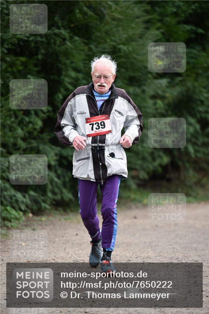 13.04.2025 - Hammer Lauf Dr. Thomas Lammeyer http://msf.ph/oto/7650222 13.04.2025 10:26:48 Laufen 15, 739 meine-sportfotos.de
