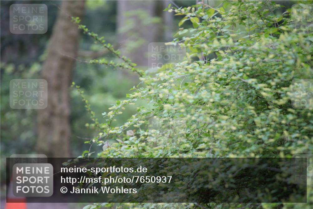 13.04.2025 - Hammer Lauf Jannik Wohlers http://msf.ph/oto/7650937 13.04.2025 10:02:49 Laufen  meine-sportfotos.de
