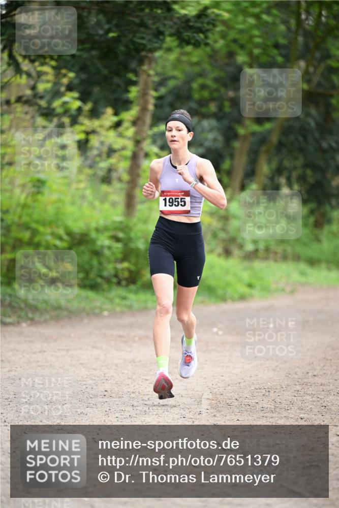 13.04.2025 - Hammer Lauf Dr. Thomas Lammeyer http://msf.ph/oto/7651379 13.04.2025 10:28:27 Laufen 1955 meine-sportfotos.de
