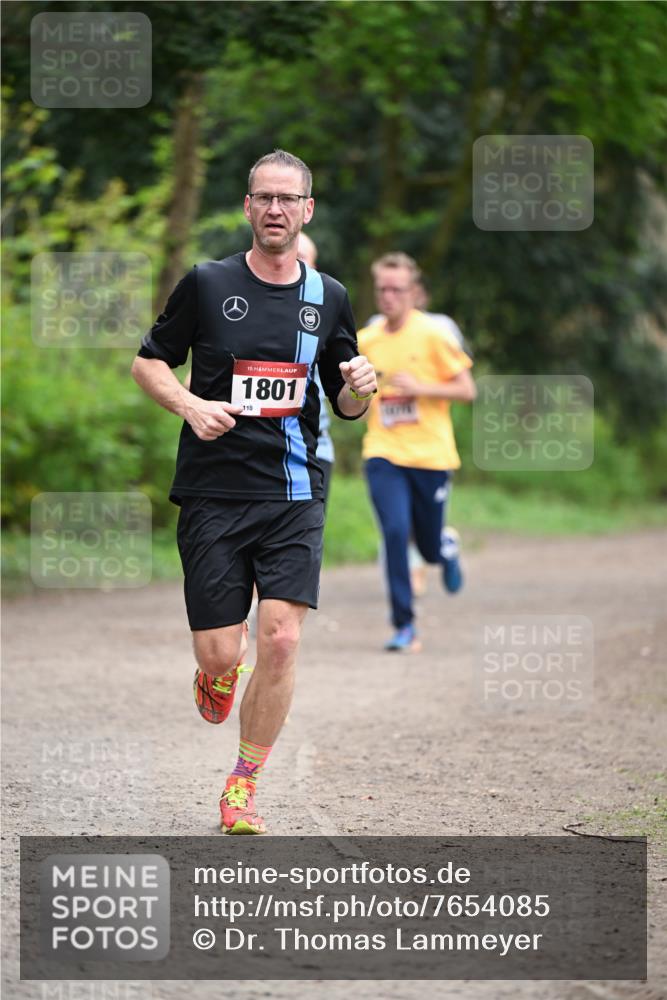 13.04.2025 - Hammer Lauf Dr. Thomas Lammeyer http://msf.ph/oto/7654085 13.04.2025 10:33:29 Laufen 0, 15, 1801, 110 meine-sportfotos.de