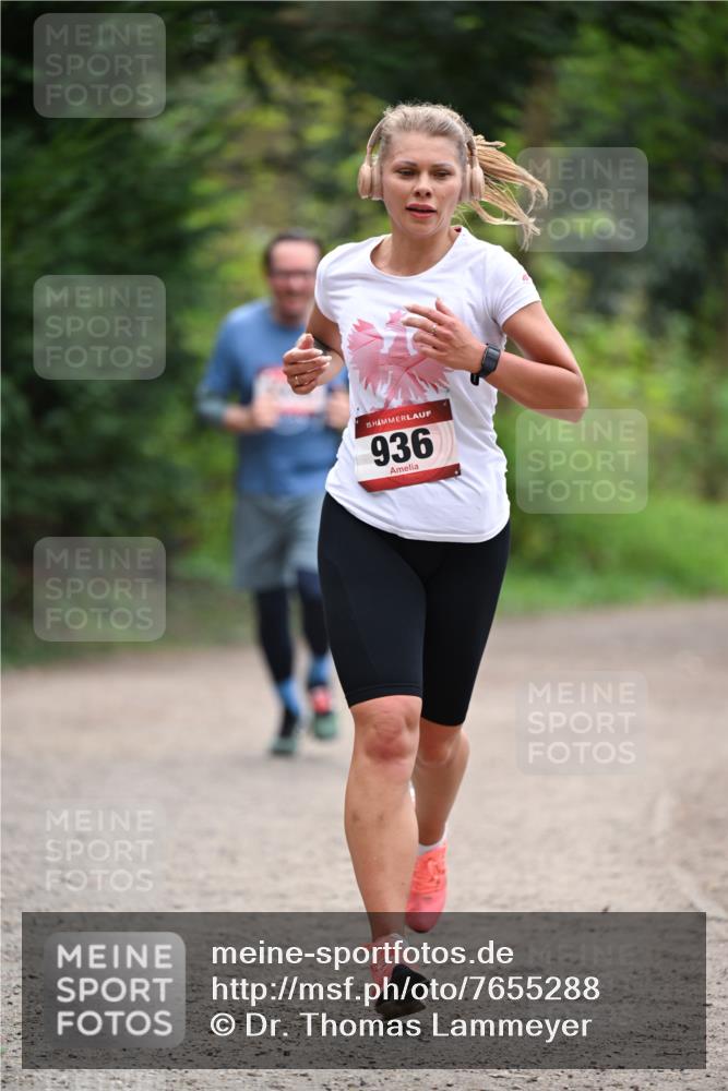 13.04.2025 - Hammer Lauf Dr. Thomas Lammeyer http://msf.ph/oto/7655288 13.04.2025 10:36:26 Laufen 15, 936 meine-sportfotos.de