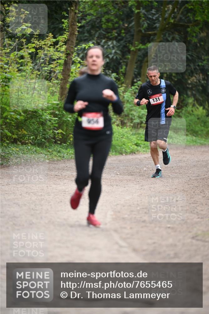 13.04.2025 - Hammer Lauf Dr. Thomas Lammeyer http://msf.ph/oto/7655465 13.04.2025 10:36:49 Laufen 956, 131 meine-sportfotos.de