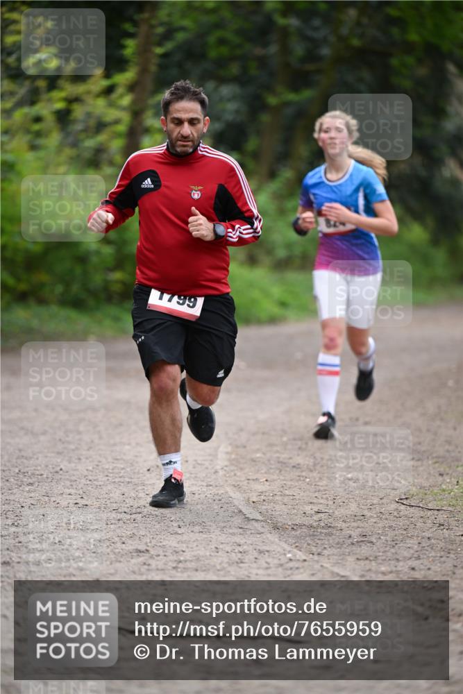 13.04.2025 - Hammer Lauf Dr. Thomas Lammeyer http://msf.ph/oto/7655959 13.04.2025 10:38:03 Laufen 66 meine-sportfotos.de