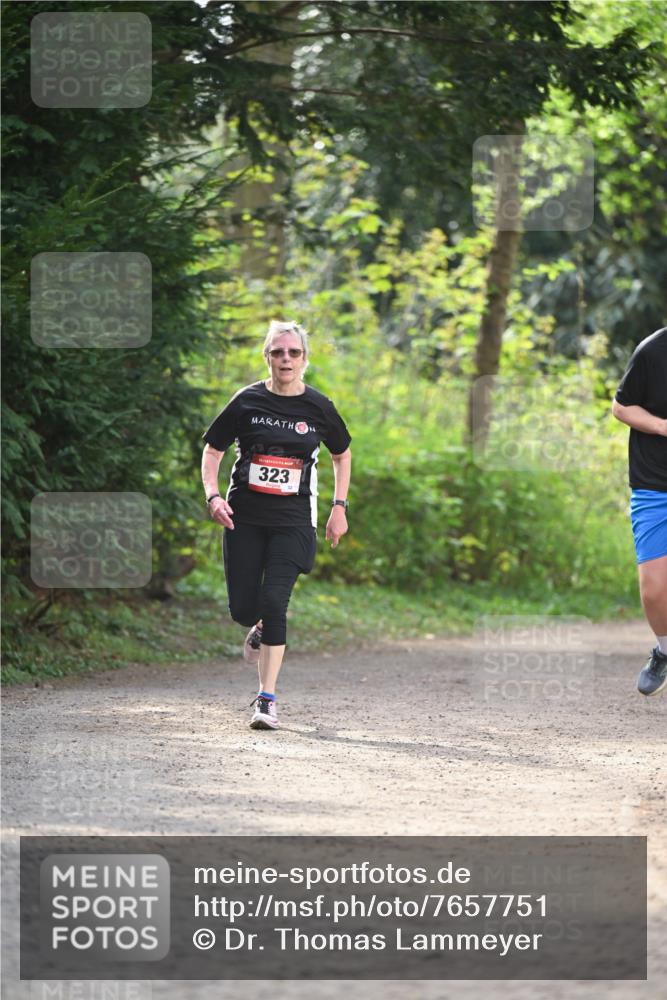13.04.2025 - Hammer Lauf Dr. Thomas Lammeyer http://msf.ph/oto/7657751 13.04.2025 10:43:49 Laufen 323 meine-sportfotos.de