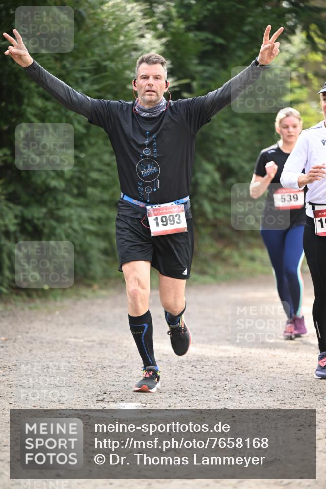 13.04.2025 - Hammer Lauf Dr. Thomas Lammeyer http://msf.ph/oto/7658168 13.04.2025 10:45:28 Laufen 15, 1993, 539, 15, 19 meine-sportfotos.de