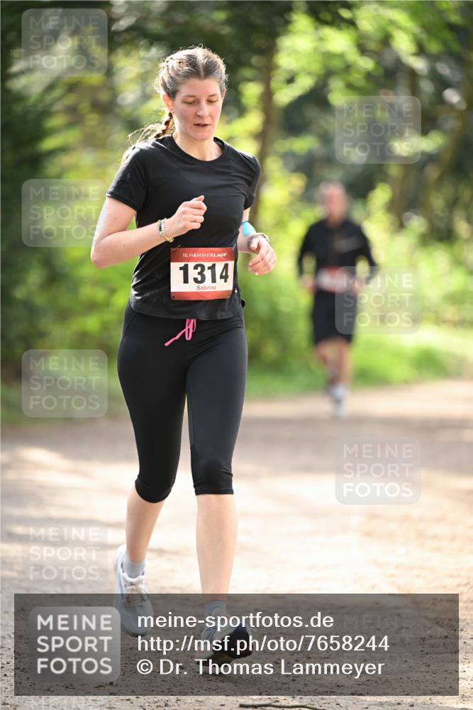 13.04.2025 - Hammer Lauf Dr. Thomas Lammeyer http://msf.ph/oto/7658244 13.04.2025 10:45:55 Laufen 15, 1314 meine-sportfotos.de