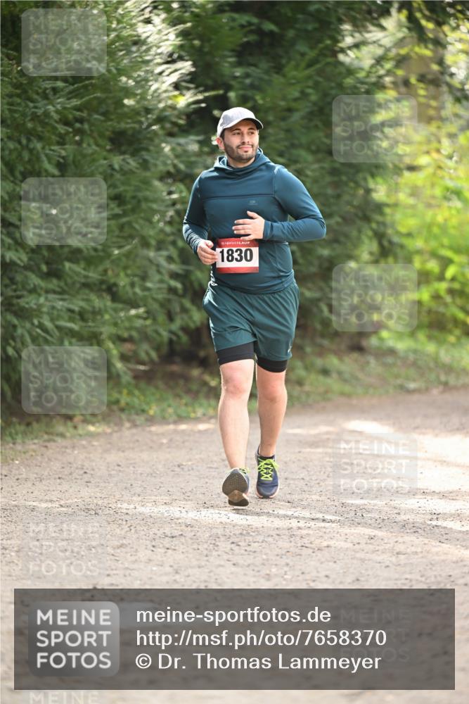 13.04.2025 - Hammer Lauf Dr. Thomas Lammeyer http://msf.ph/oto/7658370 13.04.2025 10:46:41 Laufen 15, 1830 meine-sportfotos.de