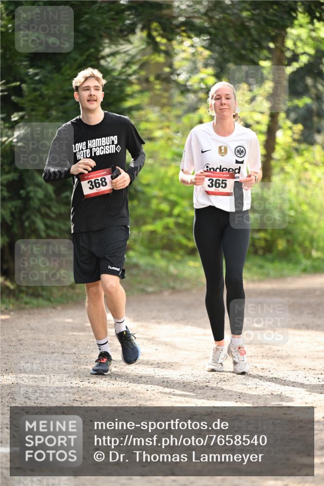 13.04.2025 - Hammer Lauf Dr. Thomas Lammeyer http://msf.ph/oto/7658540 13.04.2025 10:48:08 Laufen 15, 368, 365 meine-sportfotos.de