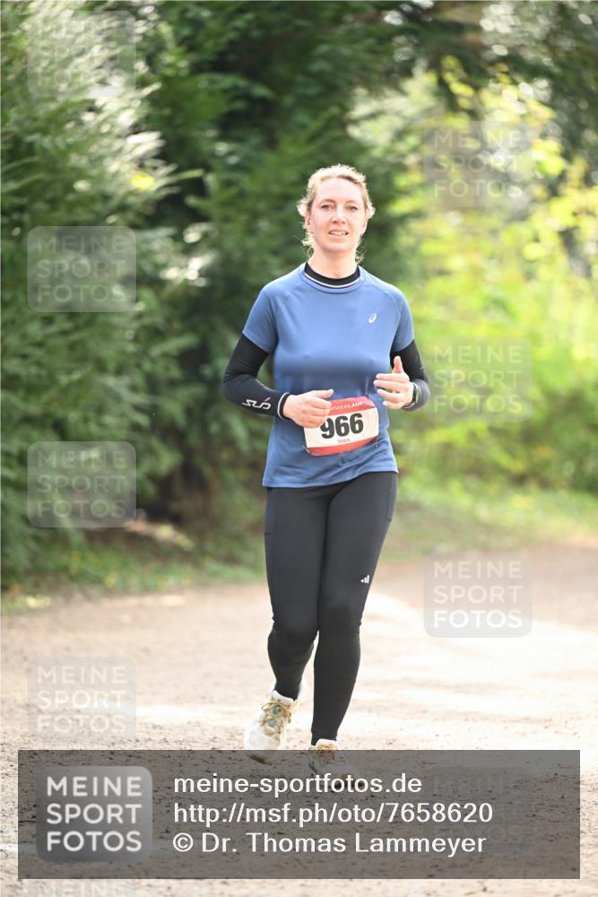13.04.2025 - Hammer Lauf Dr. Thomas Lammeyer http://msf.ph/oto/7658620 13.04.2025 10:48:33 Laufen 966 meine-sportfotos.de