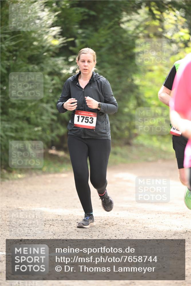 13.04.2025 - Hammer Lauf Dr. Thomas Lammeyer http://msf.ph/oto/7658744 13.04.2025 10:49:08 Laufen 15, 1753 meine-sportfotos.de